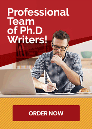 Professional team of writers