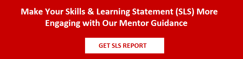 Expert in SLS Report Creation